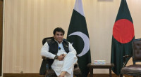 Pakistan calls for revival of SAARC; questions regional instability